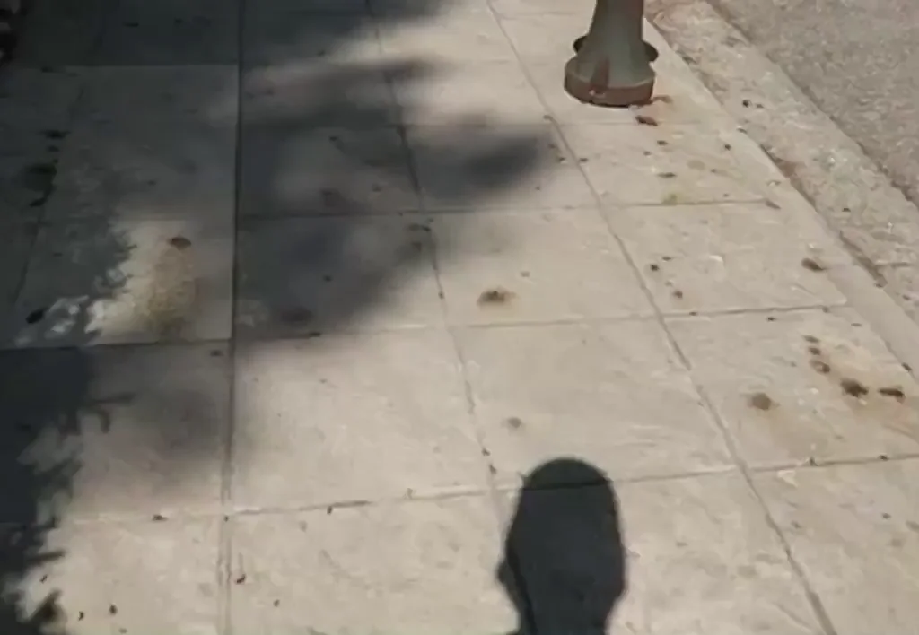What would you do if you saw me walking down your street?