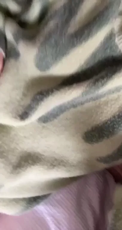 Cozy Blanket Tease: Spread Pussy Lips & Beg for Your Touch ??