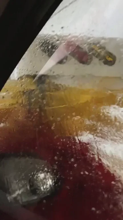 When’s the last time you got a car wash?