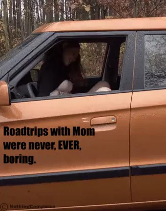 🔥 Road Trip Fuckfest with Horny Mom 🚗💦