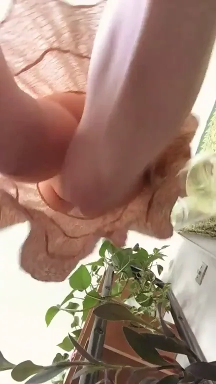 Im Sommer ist es besonders wichtig, seine Pflanzen regelmäßig zu gießen. ?? [f]