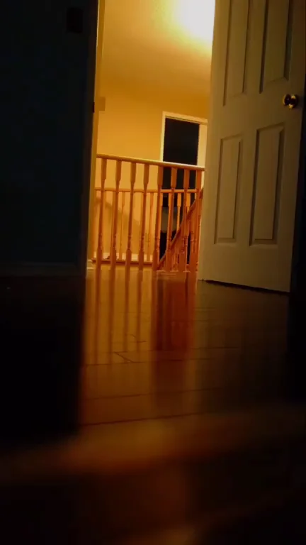 Topless Slut Strolls: Bare Tits Teasing the House Tour?