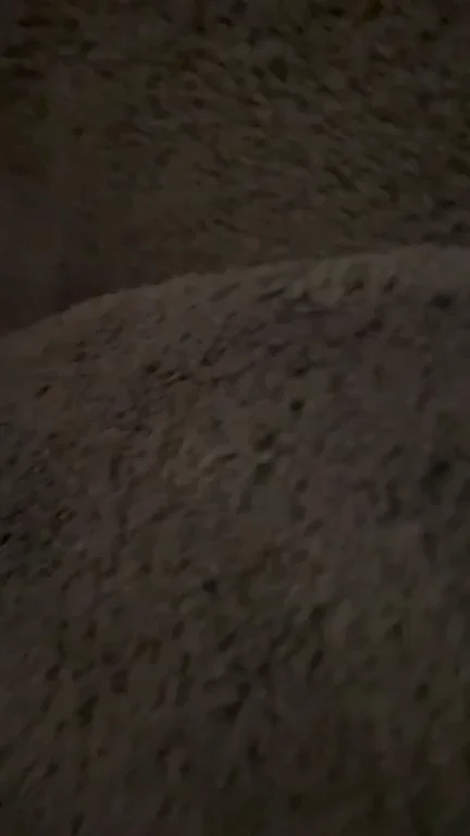 my pussy from the Backbord