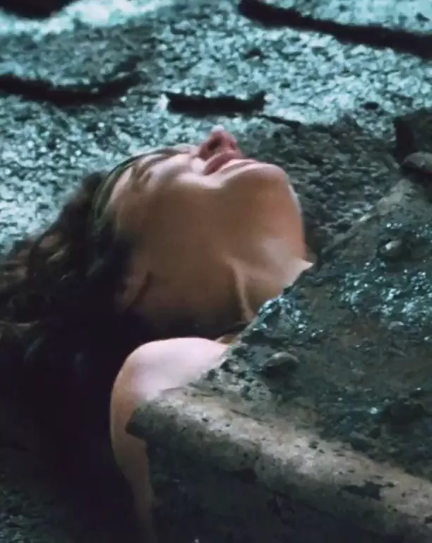 Gal Gadot, In trouble - Wonder Woman (2017)