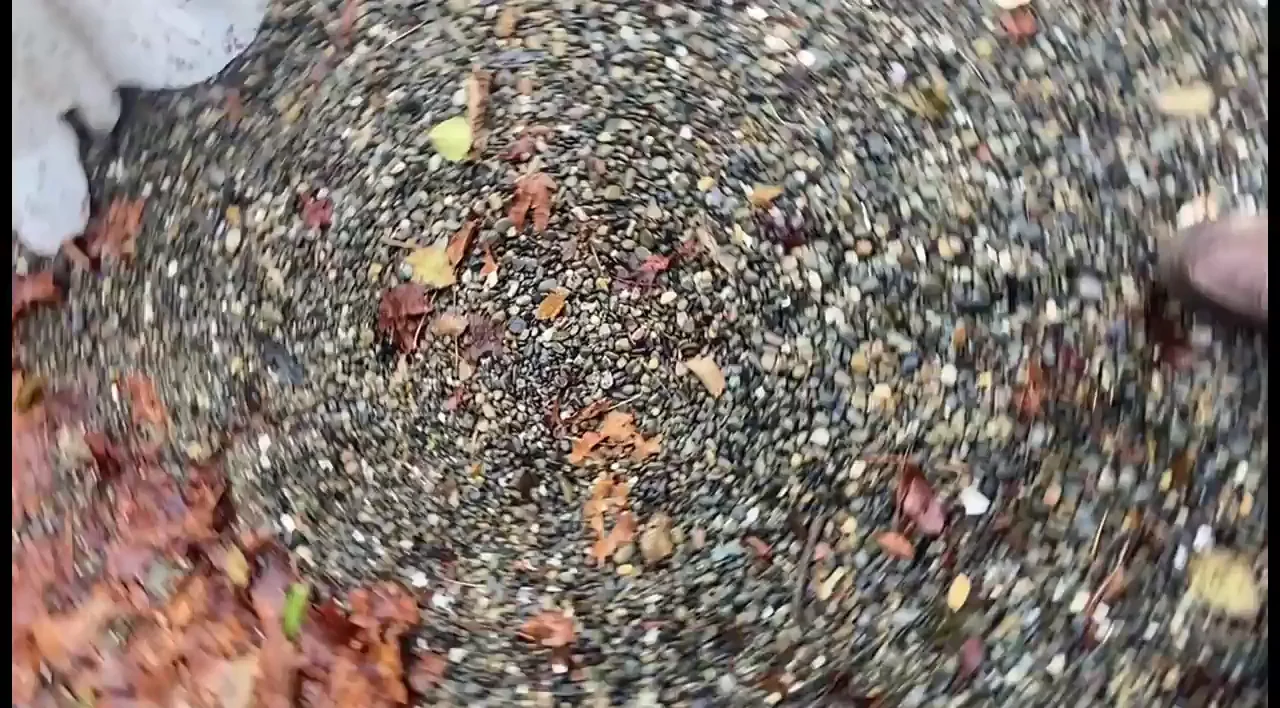 Flashing Massive Tits in the Woods Turns Wild 😈🍂💦