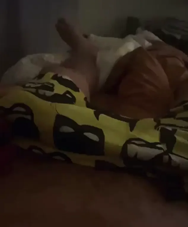 Do you like the present i have for you?