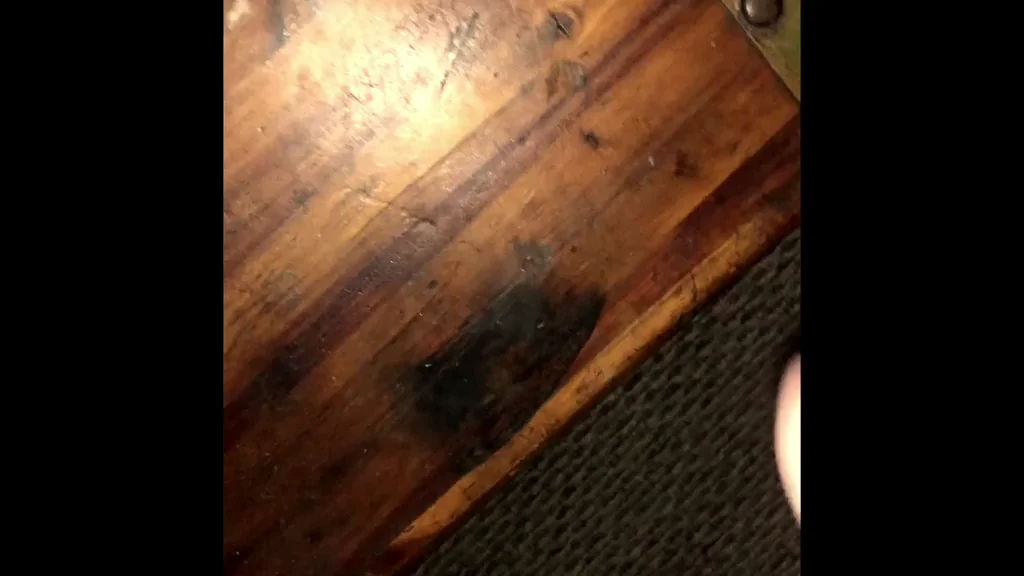 Slow-Mo Cum Blast on Wood 💦🔥