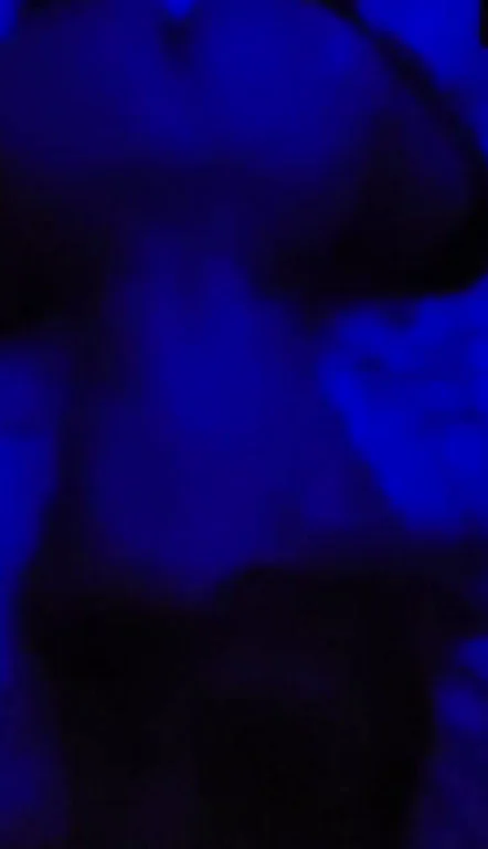Thick Ass Wife Takes Hubby's Fat Cock Balls Deep 💦🍑🔥