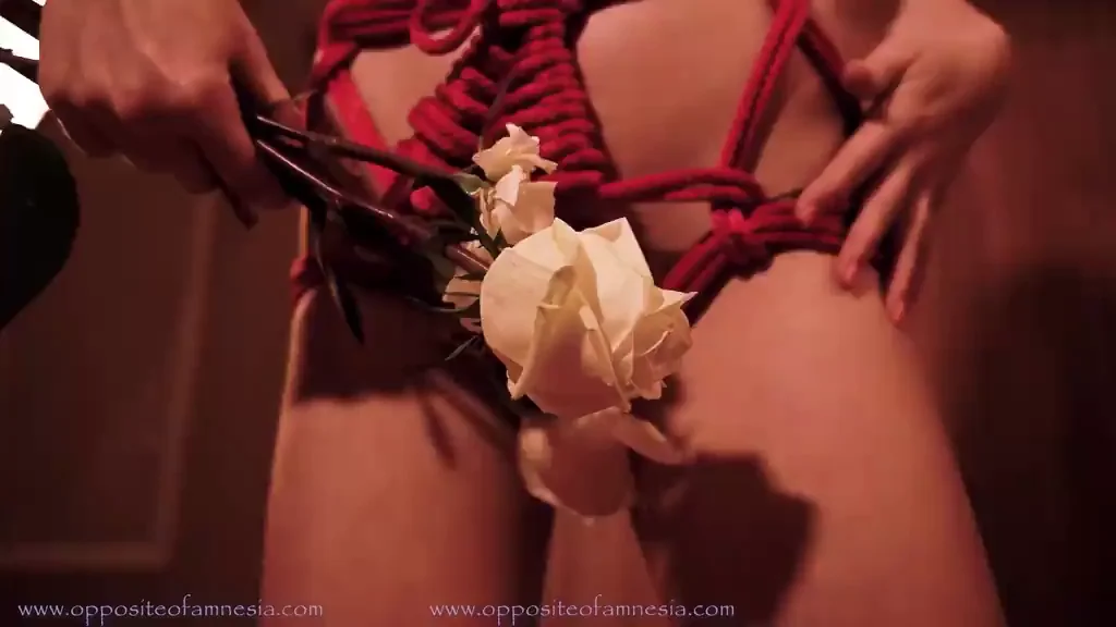 🔥 Tied Up Slut Megan Holly Begs for Cum in Red Rope Bondage! Join for 50+ Hotties! 💦🪢