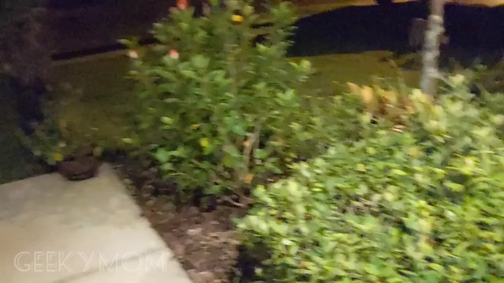 Waiting for Uber eats and scaring the cat ?