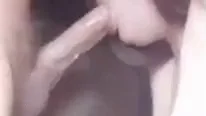 🍆 Dripping Precum Craving Cock Suck 💦