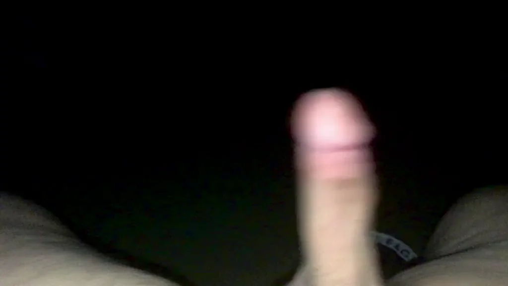 Thick swinging dick POV