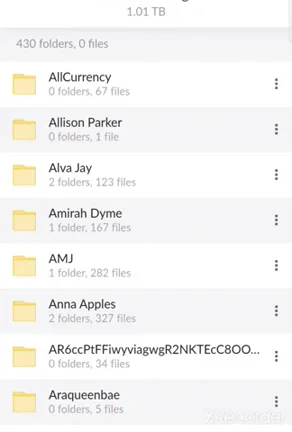 Check Comment For 1TB of Models Collection????