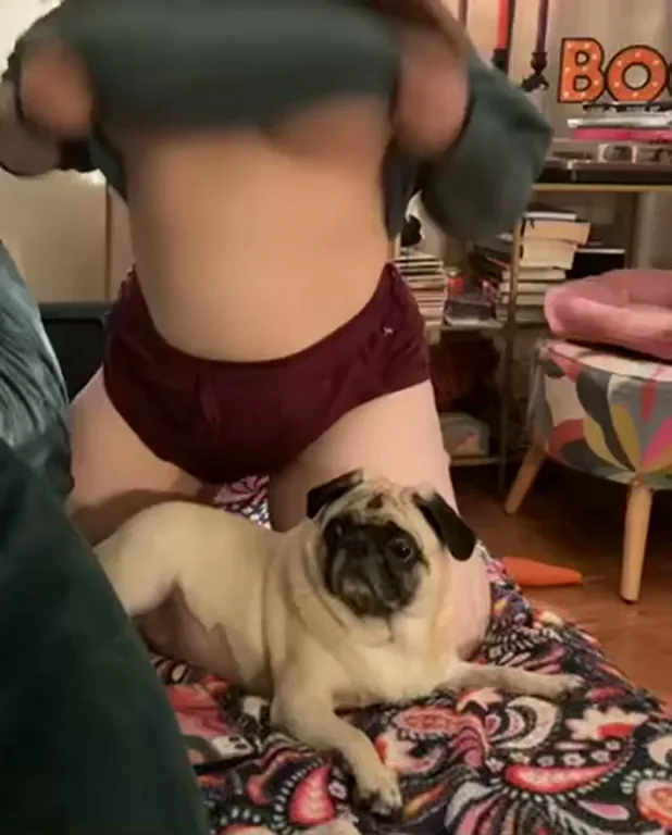 Watch it for the pup [OC]