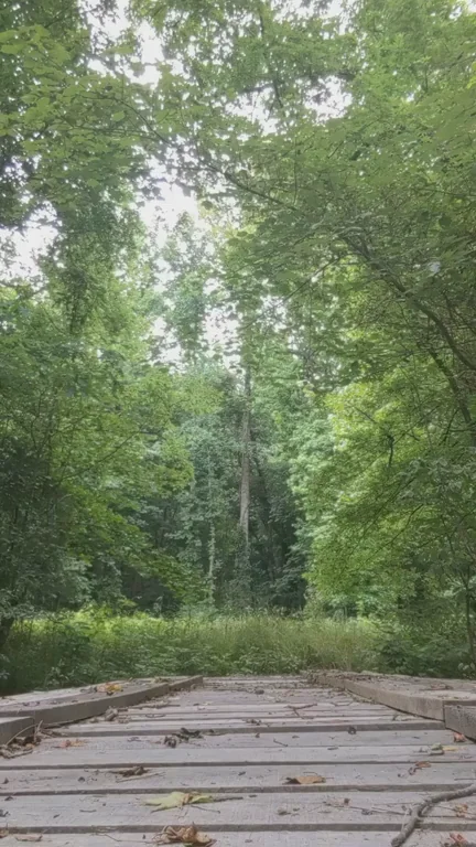 Slutwife's Trail Tease: Hiking Ass Exposed on the Tracks