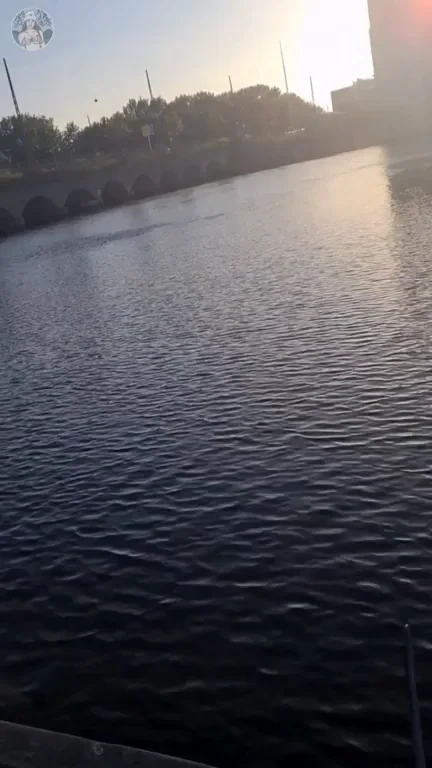 [OC] hanging out at the harbour, practicing holding my breath