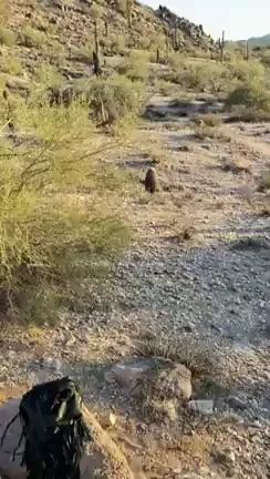 🌵 Thirsty Goth Latina Slut Sucks Cock in Desert Heat 🔥💦