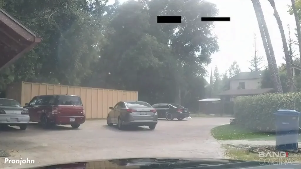 Lana Rhoades Busted & Bent Over 🚔💦 [GIF]