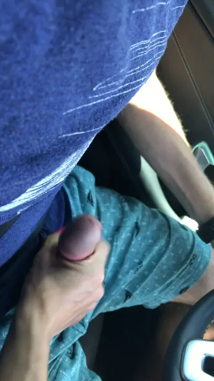 Naughty Wife Yanks Hubby's Fat Cock Out in the Car 🚗🍆💦