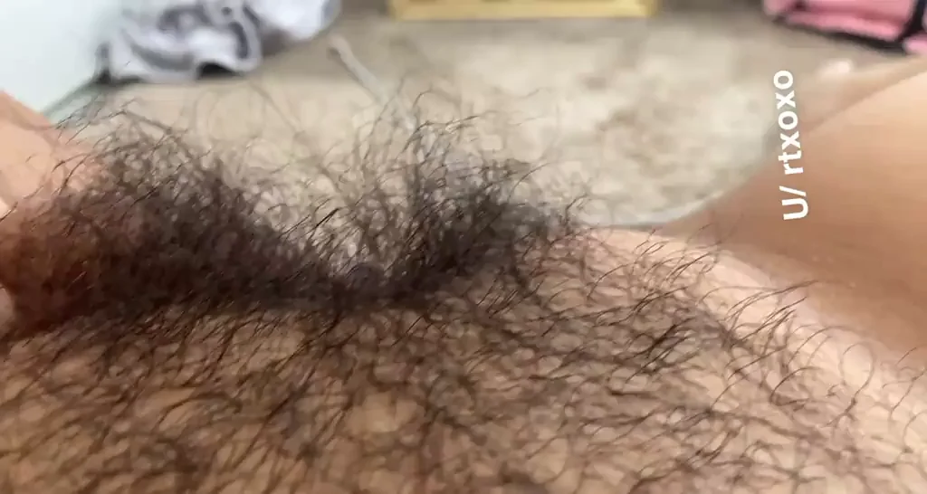 Here are my thighs and hairy pussy ?