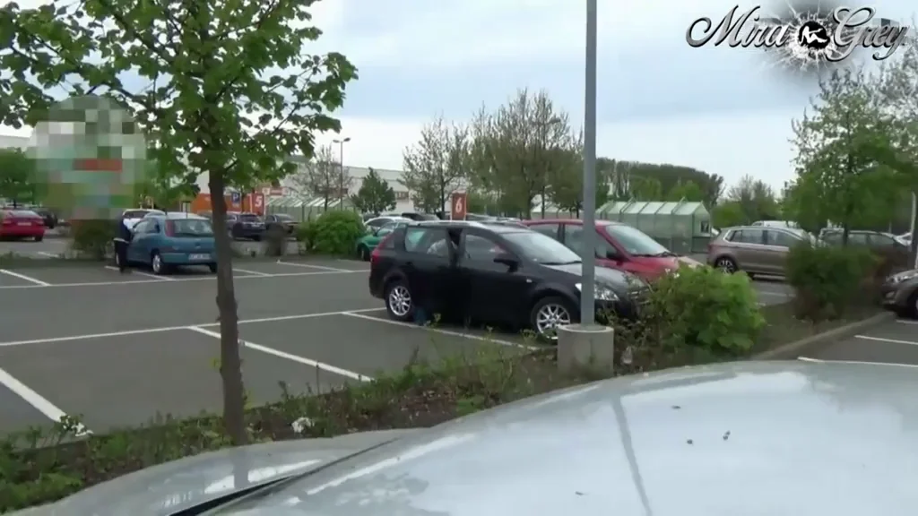 Quick Public Car Facial? 😈💦🍆
