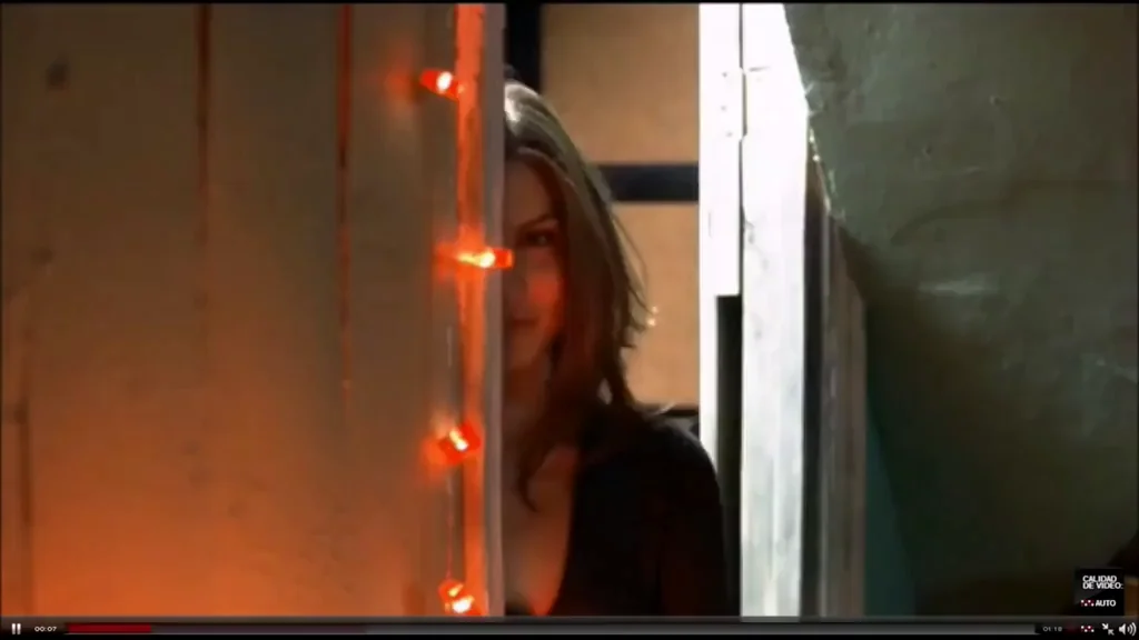 Lauren Cohan made Van Wilder 2: The Rise of Taj more bearable (2006)