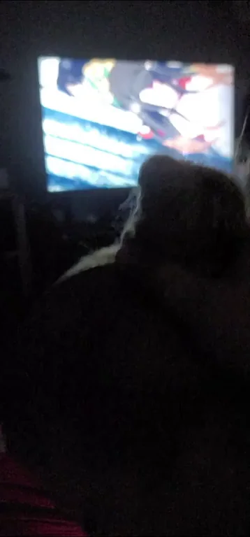 Just enjoying some quality anime ? [MF]