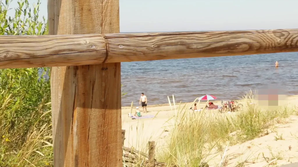 Beach Slut Flashes Juicy Pussy Lips Over Fence 😈🌊