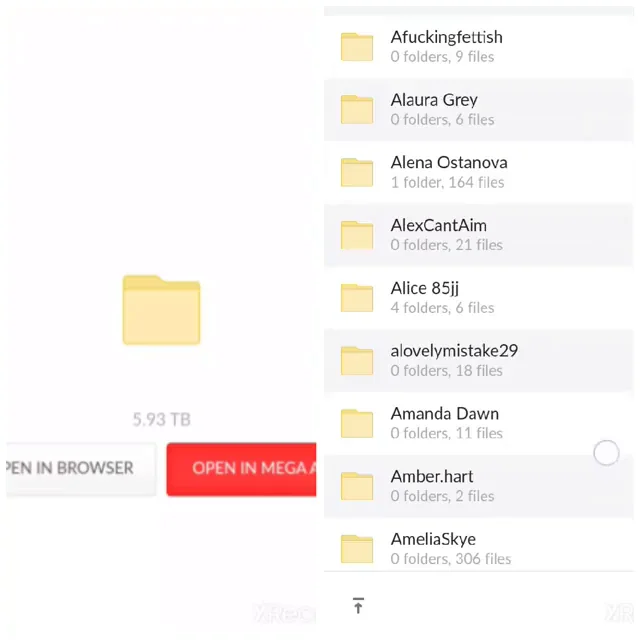 Grab Huge 6TB Collection? with Baddies n Cam Models Folder??