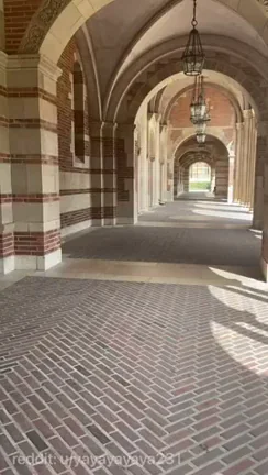 Campus is so beautiful this time of year
