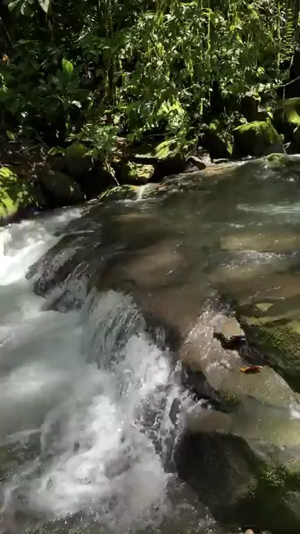 🌿 Jungle Slut's Naked Dip in Enchanted Cascades 💦🍑
