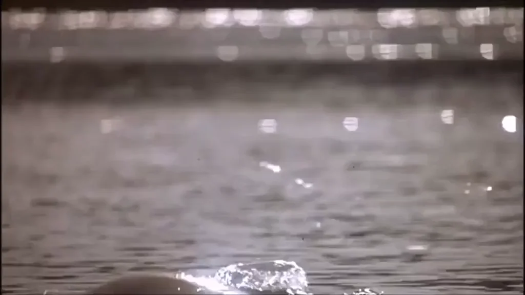 This scene of Julie Warner skinny dipping in Doc Hollywood was a highlight of my secret VHS spank bank (1991)