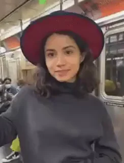 Flashing in the train