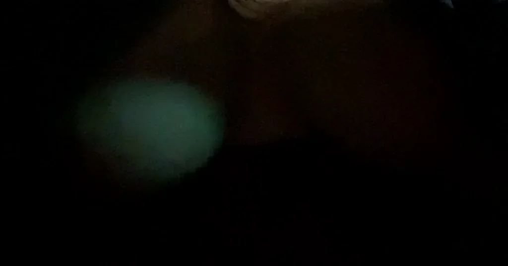 Wifey sent me a video flashing in an Uber on the way home from the bar, do you think the driver enjoyed the ride?