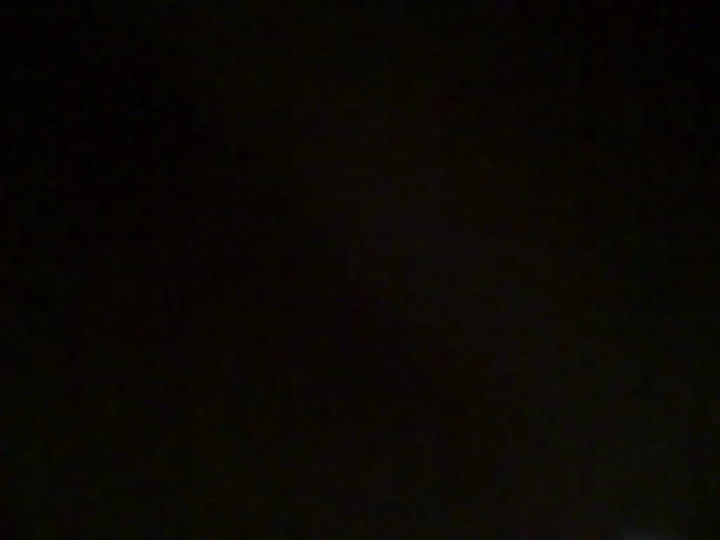 🐷 PAWG Slut Takes Stranger Dick Doggy 🍑💦