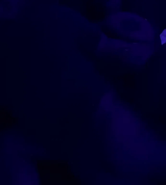Blacklight Ebony Babe Works Out Thick Cock Kinks – Glowin' Sweat & Slutty Pounds