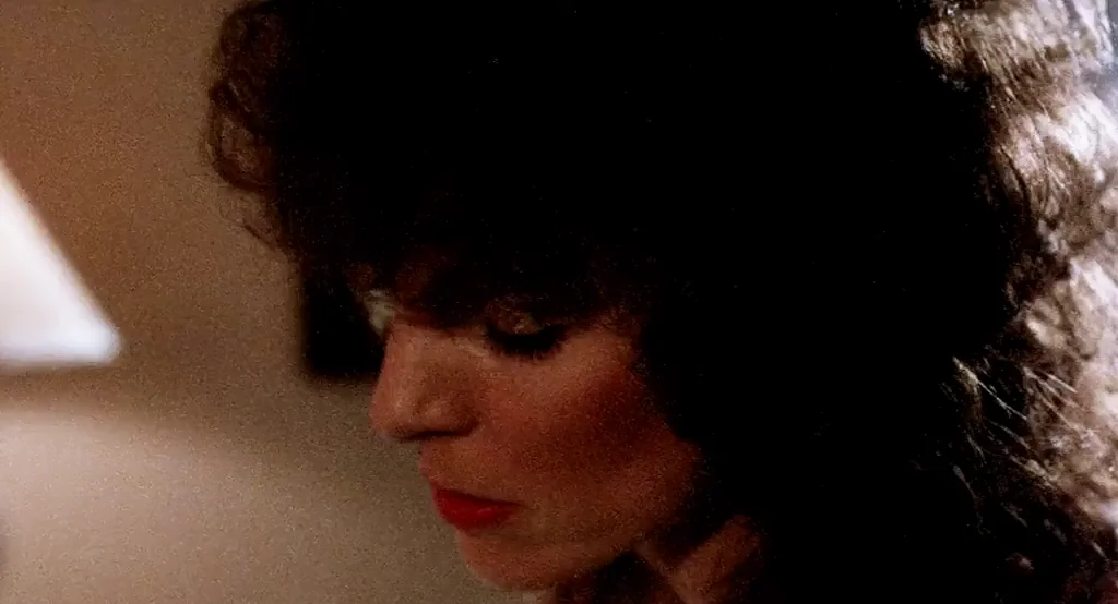 [/r/YourDadsOldPorn] Kay Parker & Honey Wilder- Taboo III (1984)