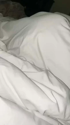 My favorite way to wake him up 🤤— #morninghead
