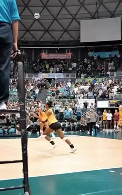 🏖️ Hawaii Volleyball Babes Shaking Booty 🍑🔥