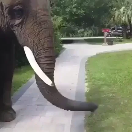 Enjoying each other