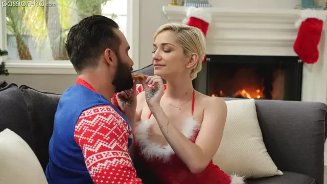 Christmas Cookie