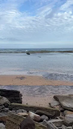 Fuck me before you swim?