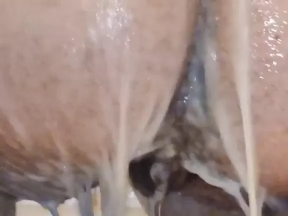 Ass Asshole Girls Nude Petite Shower Soapy Porn â¤ï¸ link in comments