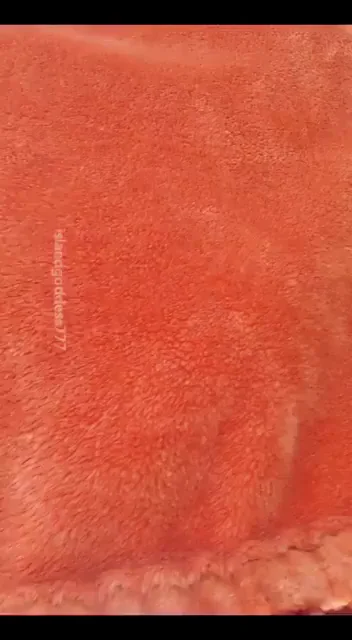 hi, I'm here to collect your cum!