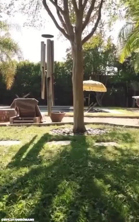 Gardening isn't as boring as you think.