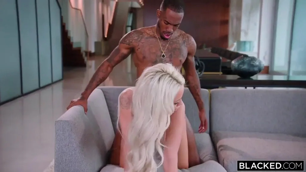 Dog Pound Chronicles 👆: Elsa Jean