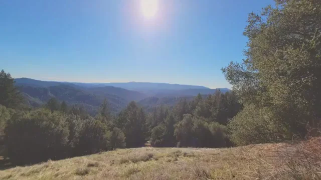 First time ever and definitely not my last