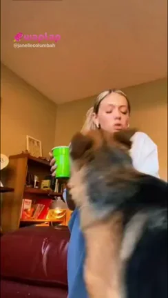 Silly Doggo Nipslip Tease 😏🐶🍒