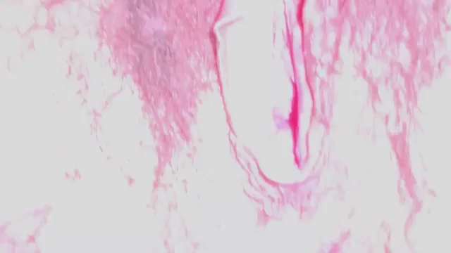 Petite 35yo Italian MILF Spreads Her Loose Hairy Pussy Wide