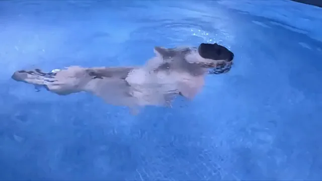 🔒💦 Submerged Slut in Pool Bondage 🏊‍♀️